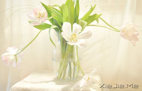 ������¼��������Թ���磬����ı��Լ� (8)