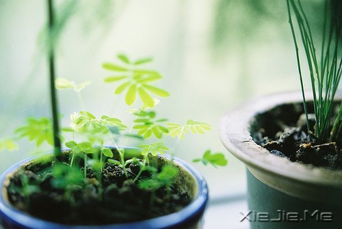 ���֣����֪���Լ�����Ҫʲô