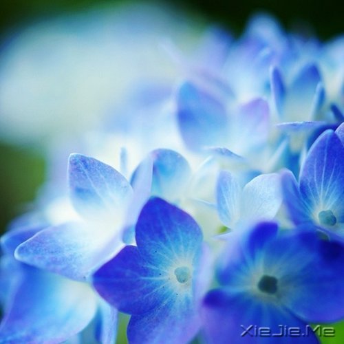 ����ľŴ��ǻ� (7)