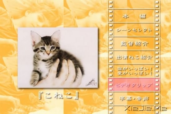 ����è���9�������Ӱ�Ƽ� (1)