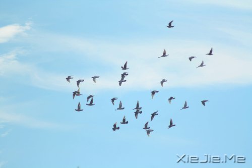 ����·�ϵ�10���п���ʵ��Խ������Խ��ɳ�