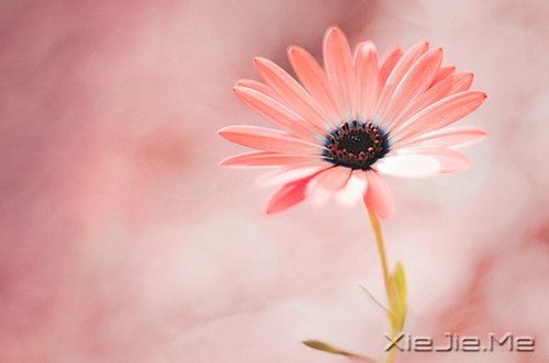 ������¼��ֻҪ�ʺ��Լ��������Ҹ� (12)