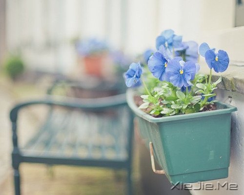 ���֣�ƶ�������֮��