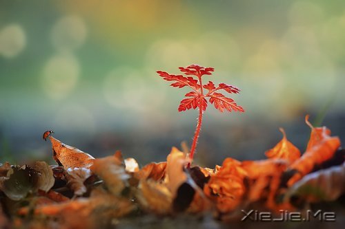 ����·�ϵ�ʮ���ݳ�Ʒ (2)