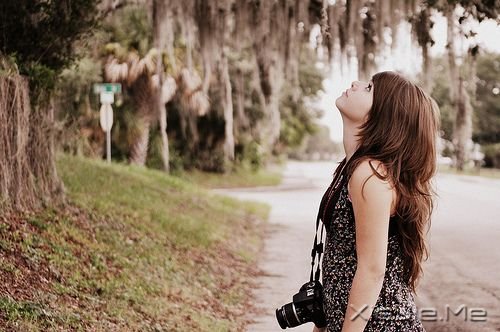 �Ҿ����ң���ɫ��һ�����̻� (5)