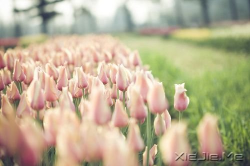 �������£�����ʱ���·�ڣ���������