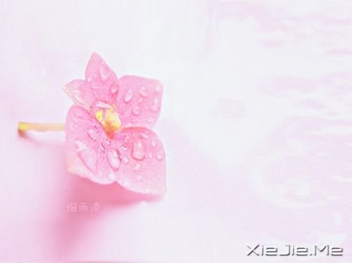 �������غ� (1)