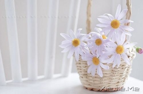 �����岻�� (1)